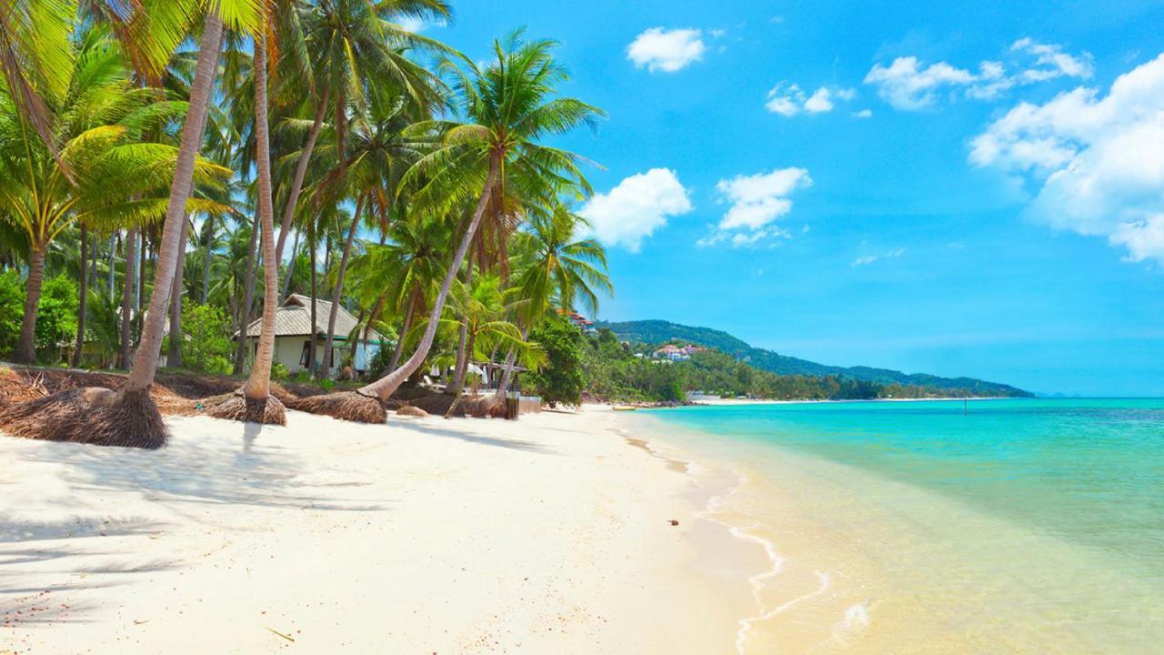 Bed and Breakfast Samui Blue Bird Mae Nam Exterior foto