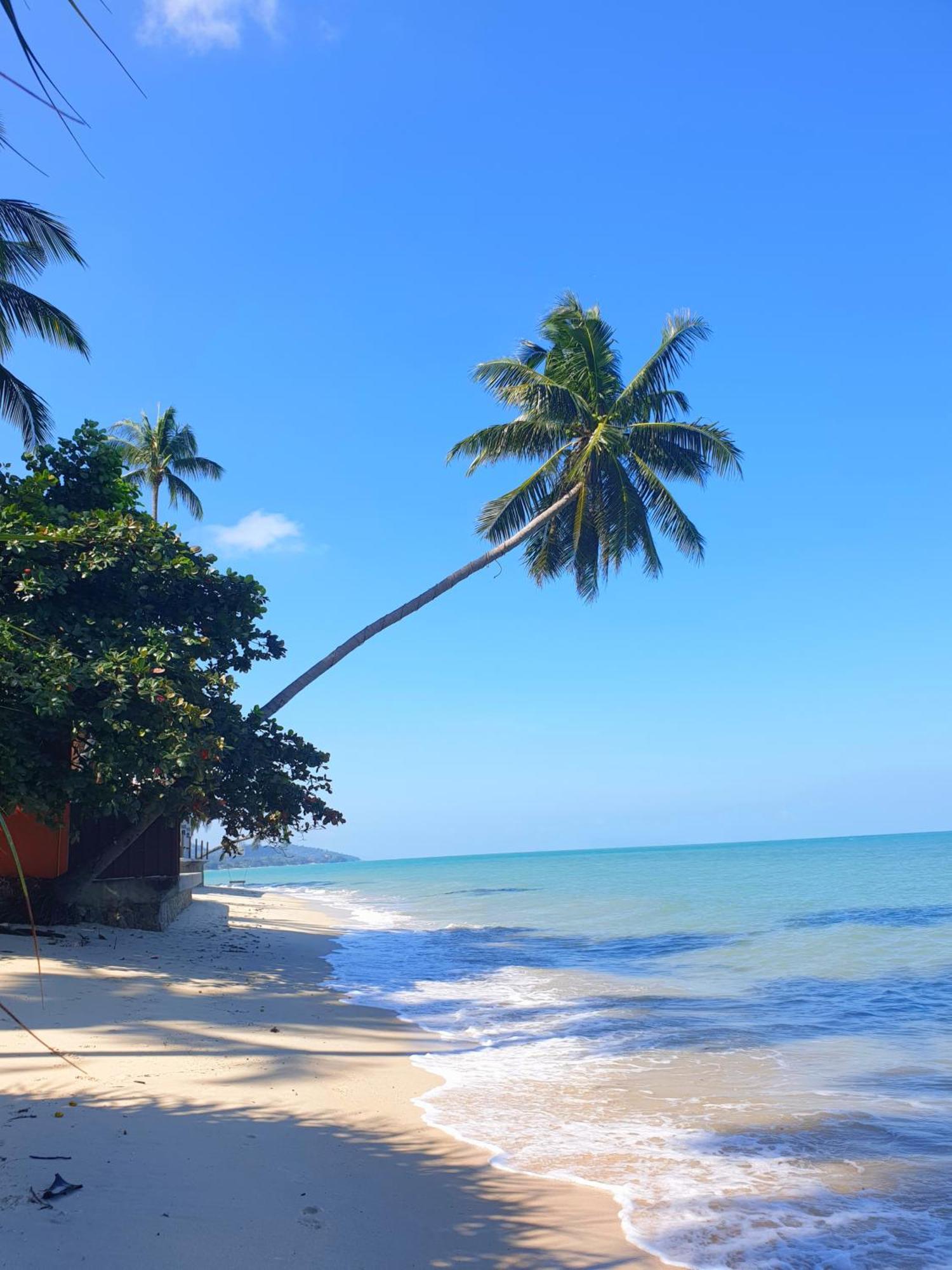 Bed and Breakfast Samui Blue Bird Mae Nam Exterior foto