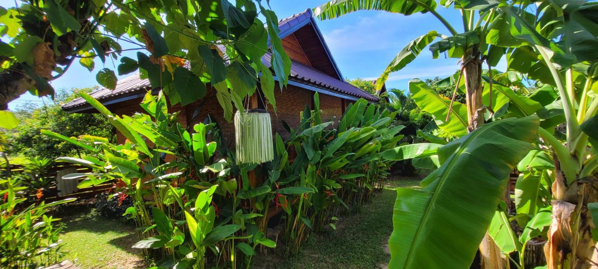Bed and Breakfast Samui Blue Bird Mae Nam Exterior foto